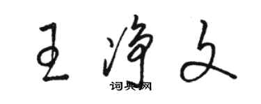 骆恒光王净文草书个性签名怎么写