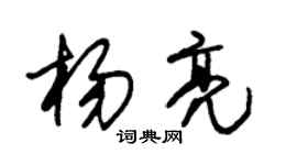 朱锡荣杨亮草书个性签名怎么写