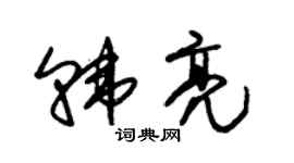 朱锡荣韩亮草书个性签名怎么写