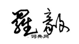 朱锡荣罗毅草书个性签名怎么写