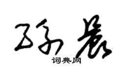 朱锡荣孙晨草书个性签名怎么写