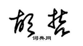 朱锡荣胡哲草书个性签名怎么写