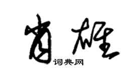 朱锡荣肖雄草书个性签名怎么写