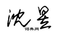 朱锡荣沈昱草书个性签名怎么写