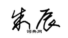 朱锡荣朱辰草书个性签名怎么写