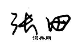 朱锡荣张田草书个性签名怎么写