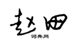 朱锡荣赵田草书个性签名怎么写