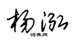 朱锡荣杨泓草书个性签名怎么写