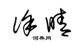朱锡荣徐晴草书个性签名怎么写