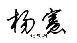 朱锡荣杨宪草书个性签名怎么写