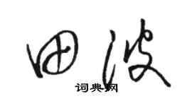 骆恒光田波草书个性签名怎么写