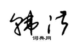 朱锡荣韩淑草书个性签名怎么写