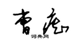 朱锡荣曹痴草书个性签名怎么写