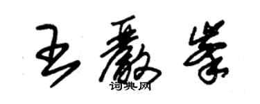 朱锡荣王严峰草书个性签名怎么写