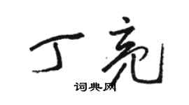 骆恒光丁亮草书个性签名怎么写