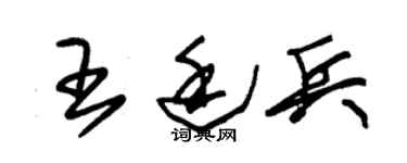 朱锡荣王廷兵草书个性签名怎么写