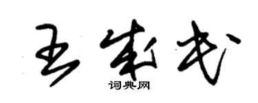 朱锡荣王成民草书个性签名怎么写
