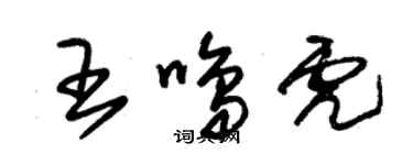 朱锡荣王鸣虎草书个性签名怎么写