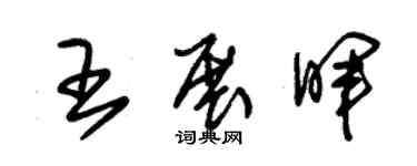 朱锡荣王展晖草书个性签名怎么写