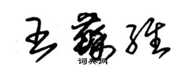 朱锡荣王苏维草书个性签名怎么写