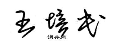 朱锡荣王培民草书个性签名怎么写