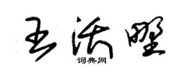 朱锡荣王沃野草书个性签名怎么写