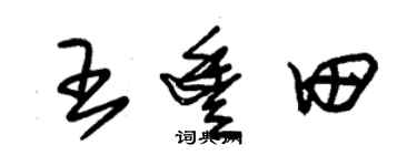 朱锡荣王丰田草书个性签名怎么写