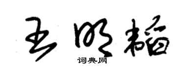 朱锡荣王明韬草书个性签名怎么写