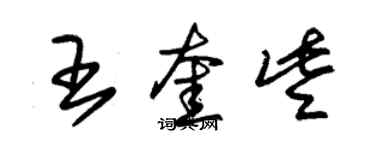 朱锡荣王奎些草书个性签名怎么写