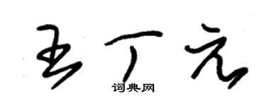 朱锡荣王丁元草书个性签名怎么写