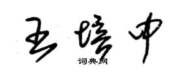 朱锡荣王培中草书个性签名怎么写