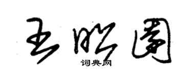 朱锡荣王昭园草书个性签名怎么写