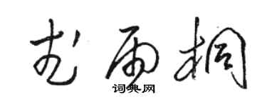 骆恒光武雨桐草书个性签名怎么写