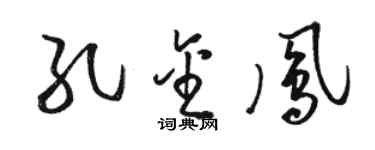 骆恒光孔金凤草书个性签名怎么写