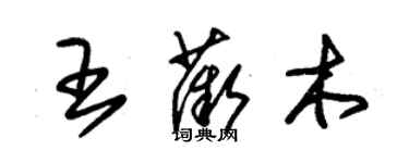 朱锡荣王薇木草书个性签名怎么写