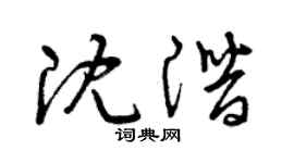 曾庆福沈潜草书个性签名怎么写