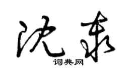 曾庆福沈秦草书个性签名怎么写
