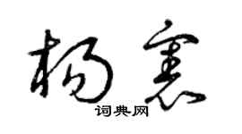 曾庆福杨宪草书个性签名怎么写