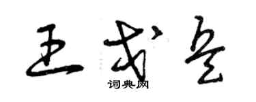 曾庆福王戈兵草书个性签名怎么写