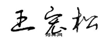 曾庆福王宏松草书个性签名怎么写