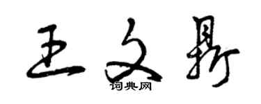曾庆福王文鼎草书个性签名怎么写