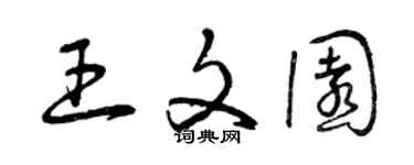 曾庆福王文园草书个性签名怎么写