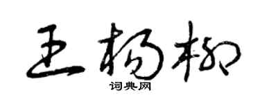 曾庆福王杨柳草书个性签名怎么写