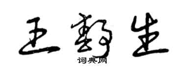 曾庆福王静生草书个性签名怎么写