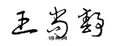 曾庆福王尚静草书个性签名怎么写