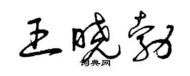 曾庆福王晓勃草书个性签名怎么写