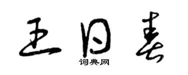 曾庆福王日春草书个性签名怎么写