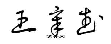 曾庆福王章武草书个性签名怎么写
