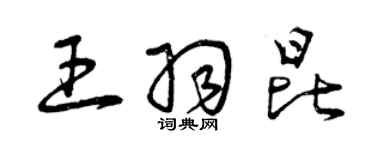 曾庆福王羽昆草书个性签名怎么写