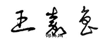 曾庆福王嘉鲁草书个性签名怎么写